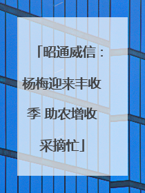 昭通威信：杨梅迎来丰收季 助农增收采摘忙