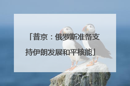 普京：俄罗斯准备支持伊朗发展和平核能
