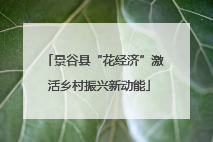 景谷县“花经济”激活乡村振兴新动能