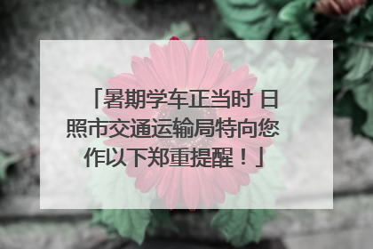 暑期学车正当时 日照市交通运输局特向您作以下郑重提醒！