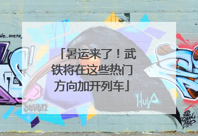 暑运来了！武铁将在这些热门方向加开列车