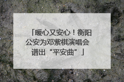 暖心又安心！衡阳公安为邓紫棋演唱会谱出“平安曲”
