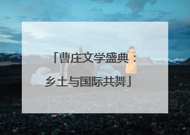 曹庄文学盛典：乡土与国际共舞