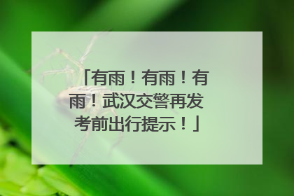 有雨！有雨！有雨！武汉交警再发考前出行提示！