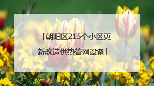 朝阳区215个小区更新改造供热管网设备