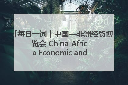 每日一词｜中国—非洲经贸博览会 China-Africa Economic and Trade Expo