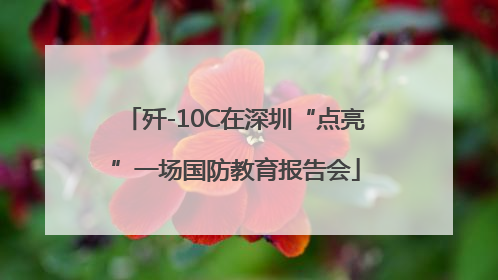 歼-10C在深圳“点亮”一场国防教育报告会