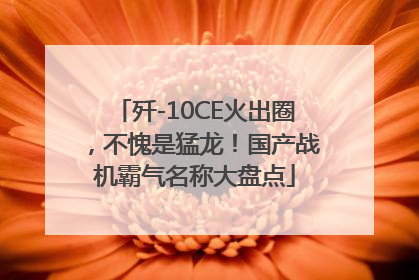 歼-10CE火出圈，不愧是猛龙！国产战机霸气名称大盘点