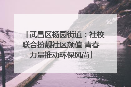 武昌区杨园街道：社校联合扮靓社区颜值 青春力量推动环保风尚