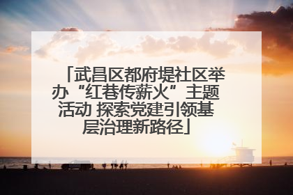 武昌区都府堤社区举办“红巷传薪火”主题活动 探索党建引领基层治理新路径