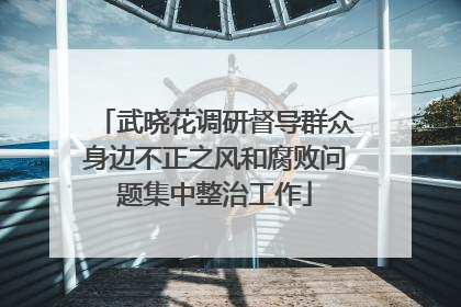 武晓花调研督导群众身边不正之风和腐败问题集中整治工作