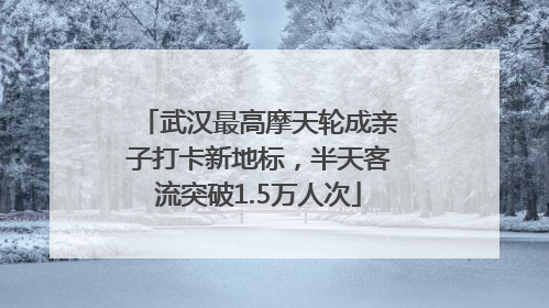 武汉最高摩天轮成亲子打卡新地标，半天客流突破1.5万人次