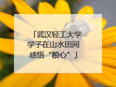 武汉轻工大学学子在山水田间感悟“粮心”