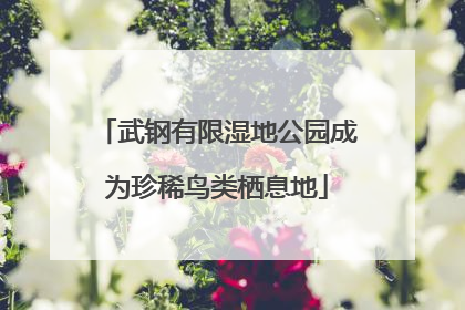 武钢有限湿地公园成为珍稀鸟类栖息地