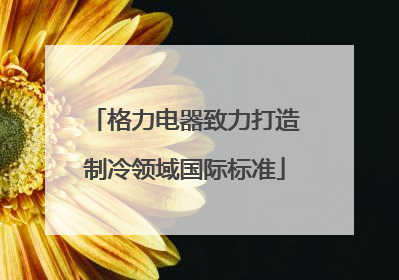 格力电器致力打造制冷领域国际标准