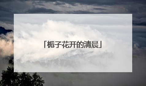 栀子花开的清晨