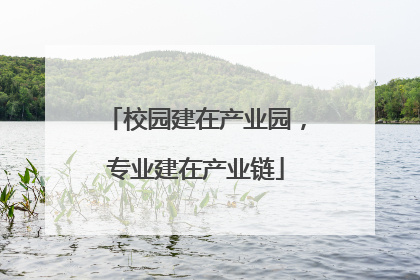 校园建在产业园，专业建在产业链