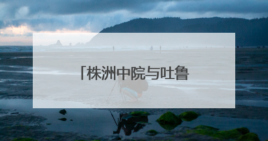 株洲中院与吐鲁番中院签订司法调研合作协议