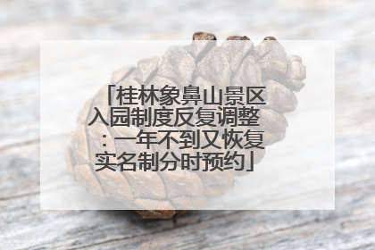 桂林象鼻山景区入园制度反复调整：一年不到又恢复实名制分时预约