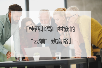 桂西北高山村寨的“云端”致富路