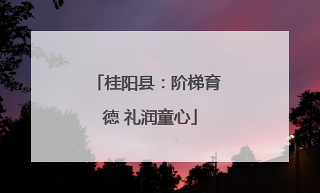 桂阳县：阶梯育德 礼润童心