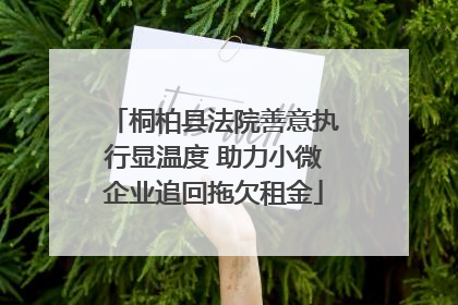 桐柏县法院善意执行显温度 助力小微企业追回拖欠租金
