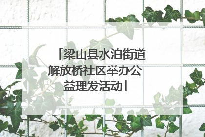 梁山县水泊街道解放桥社区举办公益理发活动