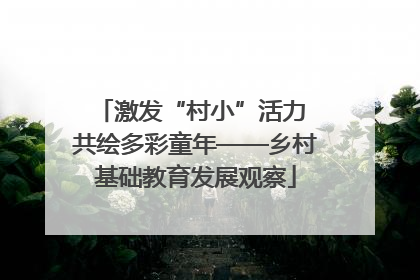 激发“村小”活力 共绘多彩童年——乡村基础教育发展观察