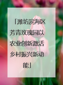 潍坊滨海区芳青玫瑰园以农业创新激活乡村振兴新动能