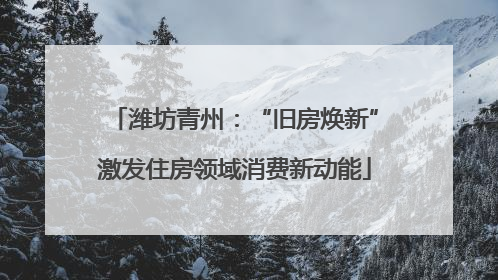 潍坊青州：“旧房焕新”激发住房领域消费新动能