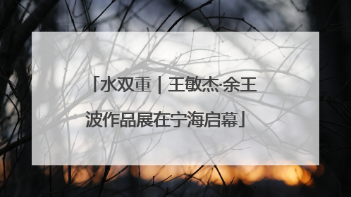 水双重｜王敏杰·余王波作品展在宁海启幕