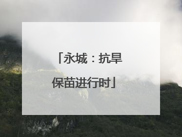 永城：抗旱保苗进行时