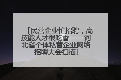 民营企业忙招聘，高技能人才很吃香——河北省个体私营企业网络招聘大会扫描