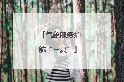 气象服务护航“三夏”