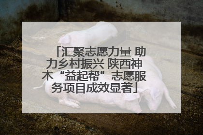 汇聚志愿力量 助力乡村振兴 陕西神木“益起帮”志愿服务项目成效显著