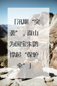 汛期“突袭”，崀山为国宝朱鹮撑起“保护伞”