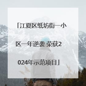 江夏区纸坊街一小区一年逆袭 荣获2024年示范项目