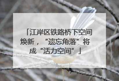 江岸区铁路桥下空间焕新，“遗忘角落”将成“活力空间”