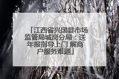 江西省兴国县市场监管局城岗分局：送年报指导上门 解商户服务难题