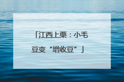 江西上栗：小毛豆变“增收豆”