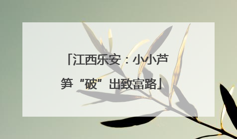 江西乐安：小小芦笋“破”出致富路