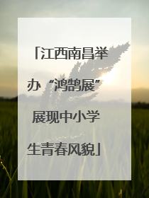 江西南昌举办“鸿鹄展” 展现中小学生青春风貌