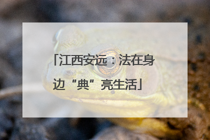 江西安远：法在身边“典”亮生活