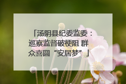 汤阴县纪委监委：巡察监督破梗阻 群众喜圆“安居梦”