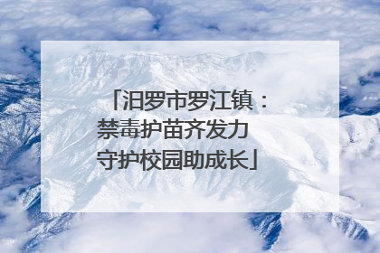 汨罗市罗江镇：禁毒护苗齐发力 守护校园助成长