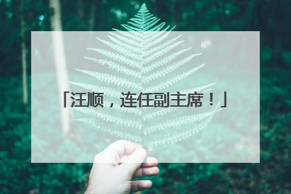 汪顺，连任副主席！