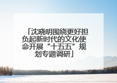 沈晓明围绕更好担负起新时代的文化使命开展“十五五”规划专题调研