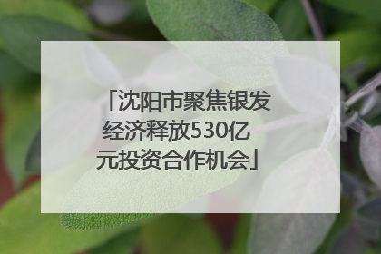 沈阳市聚焦银发经济释放530亿元投资合作机会