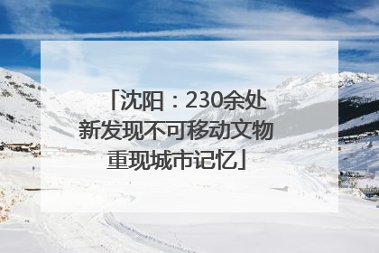 沈阳：230余处新发现不可移动文物重现城市记忆