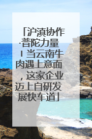 沪滇协作·普陀力量〡当云南牛肉遇上意面，这家企业迈上自研发展快车道